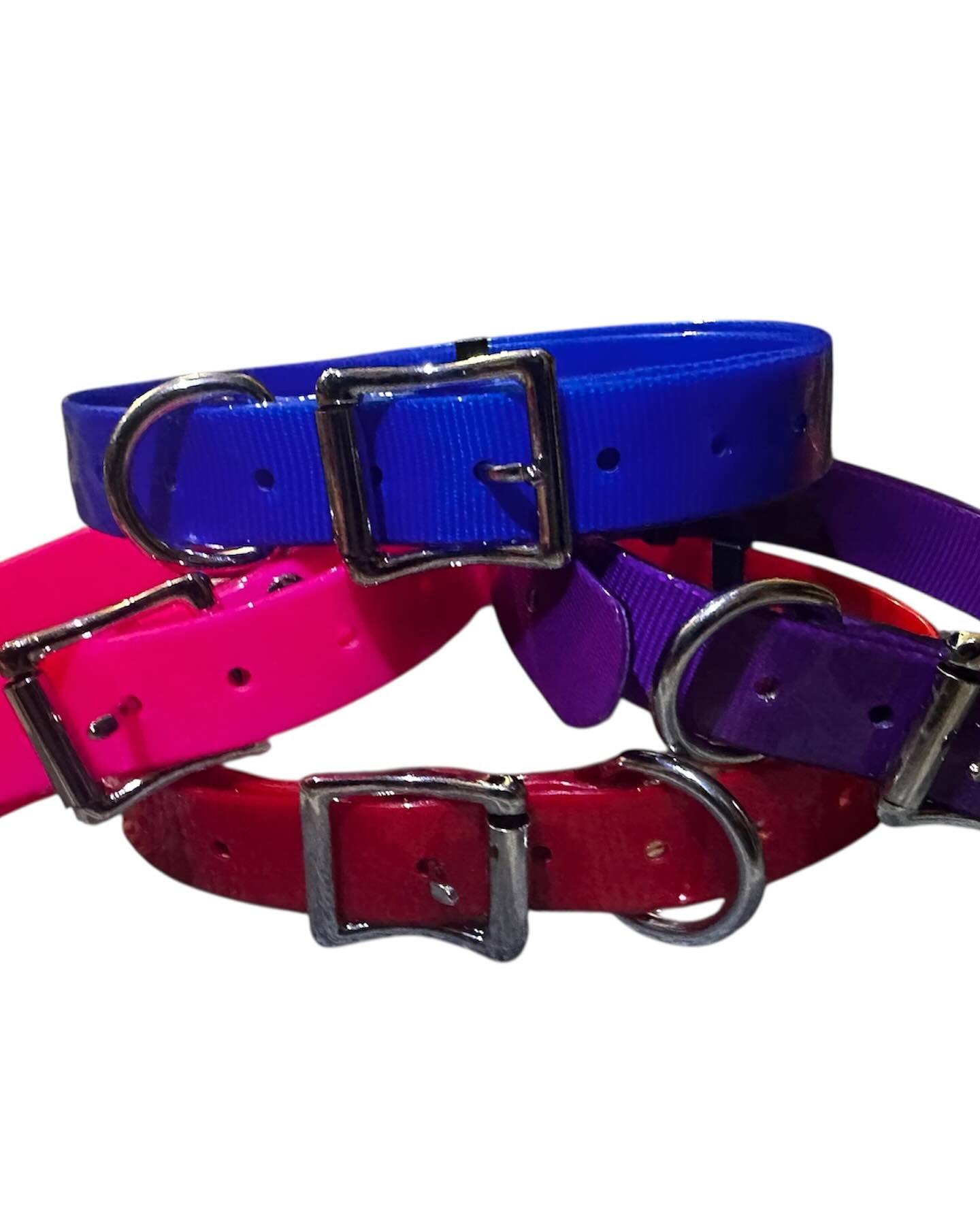 25mm Red Heavy Duty Dog Collar