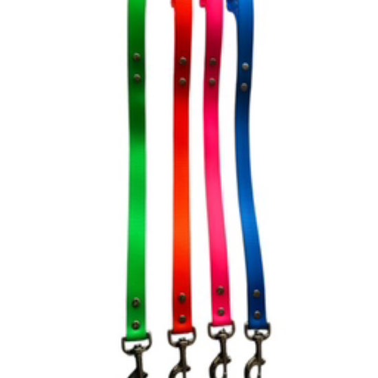 60cm Dog Lead