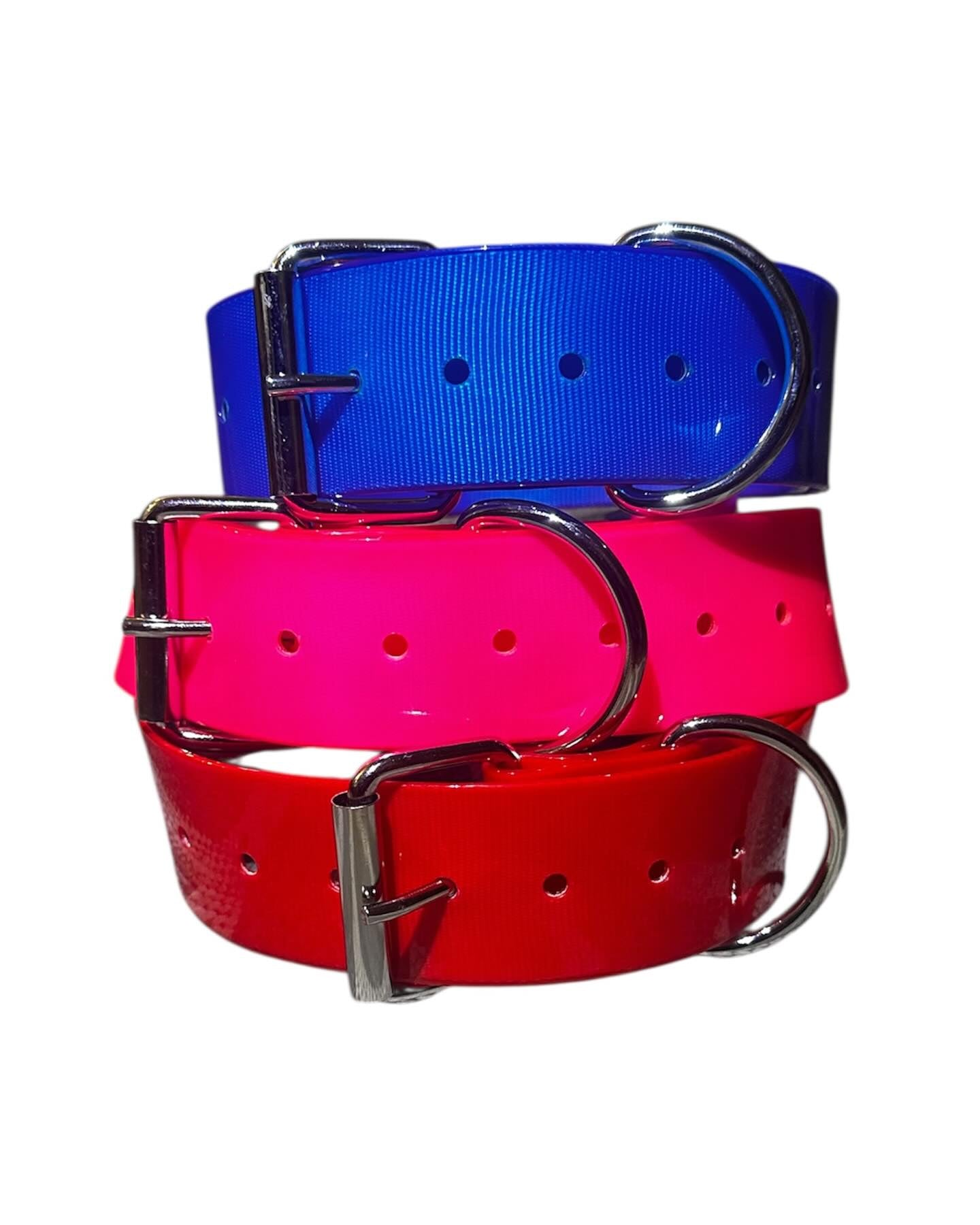 50mm Wide Neck Dog Collar